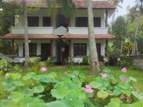 paddy farm beach resort odayam varkala